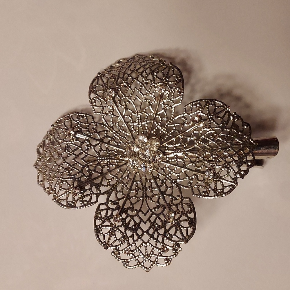 Set of 4 beautiful hair barrettes.